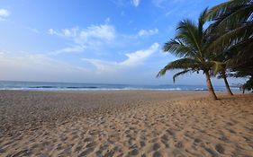Mangrove Beach Cabana